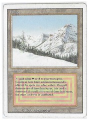 Taiga (#603)